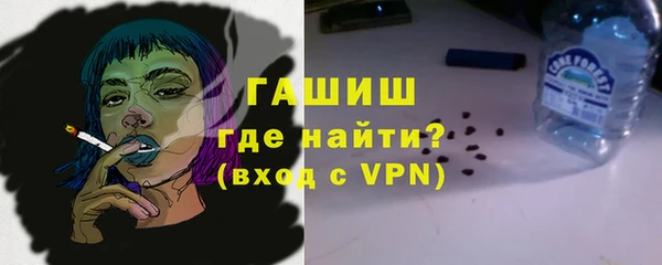 стаф Алзамай
