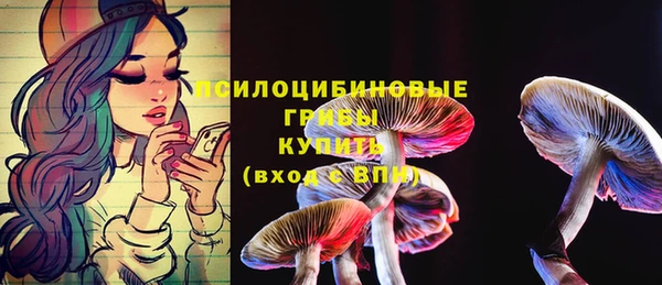 стаф Алзамай